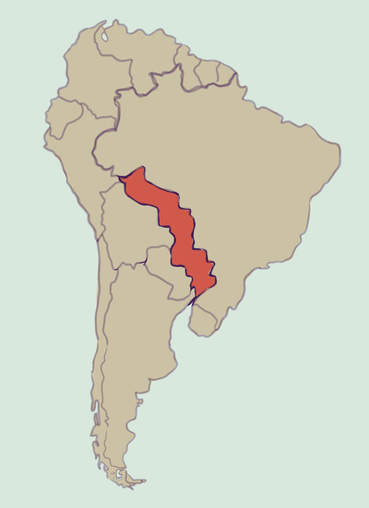 Selena, being pronounced dead a year and a half ago, walks back home one day without an explanation, but a change in behavior shows that these years in the small country of Zelium have turned her sour.